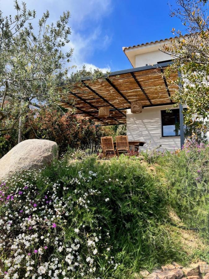 Un Petit Paradis Pinarellu Εξωτερικό φωτογραφία